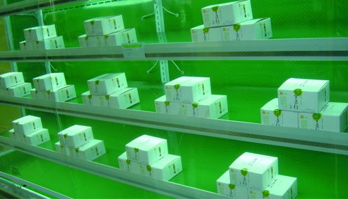 五行豆腐農產(chǎn)品包裝設計與市場營銷策劃方案